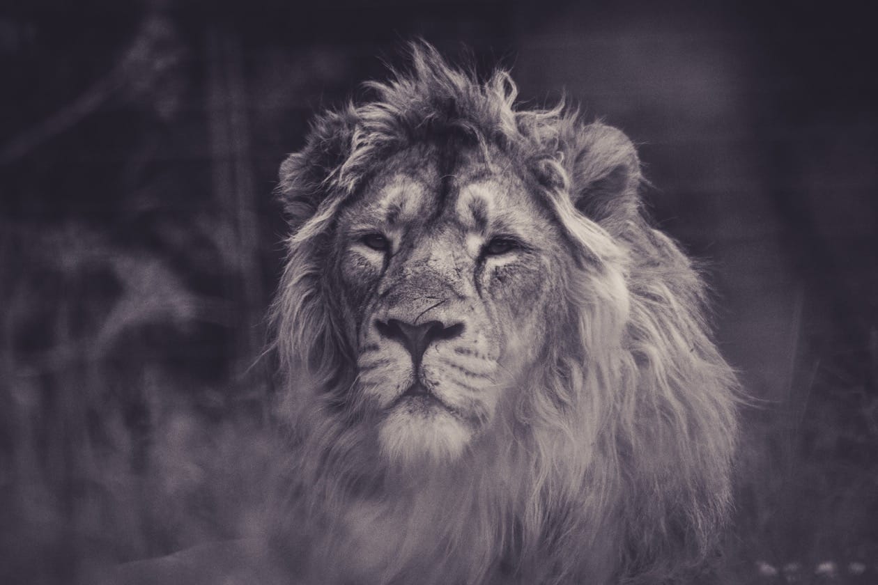 What you do speaks so loudly that I cannot hear what you say
